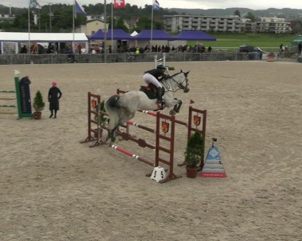 Reitturnier Fehraltorf 2025