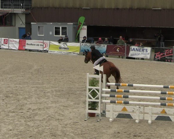 Reitturnier Fehraltorf 2025