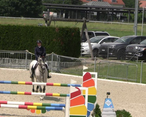 Reitturnier Fehraltorf 2025