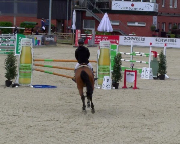 Reitturnier Borken 2025