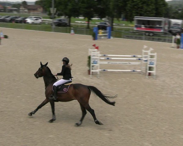 Reitturnier Fehraltorf 2025