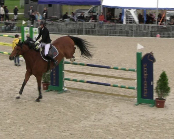 Reitturnier Fehraltorf 2025