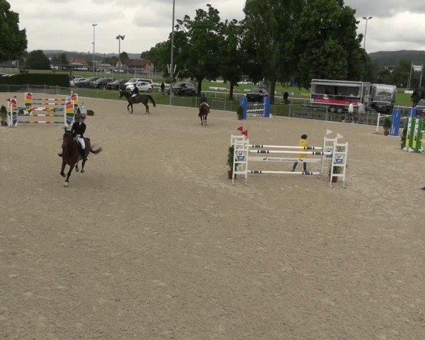 Reitturnier Fehraltorf 2025