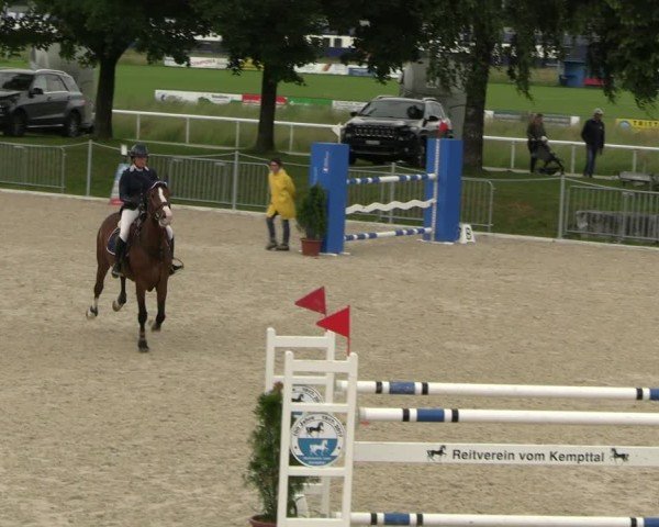 Reitturnier Fehraltorf 2025