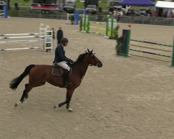 Reitturnier Fehraltorf 2025