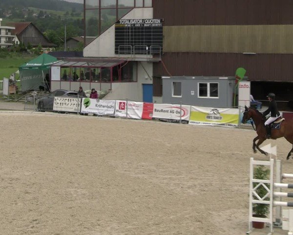 Reitturnier Fehraltorf 2025