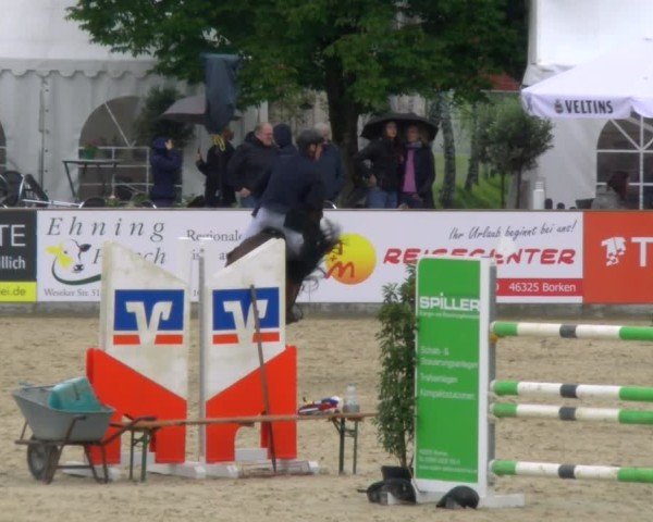 Reitturnier Borken 2025