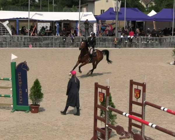 Reitturnier Fehraltorf 2025