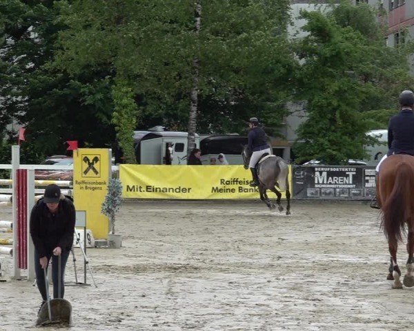 Reitturnier Bregenz 2025