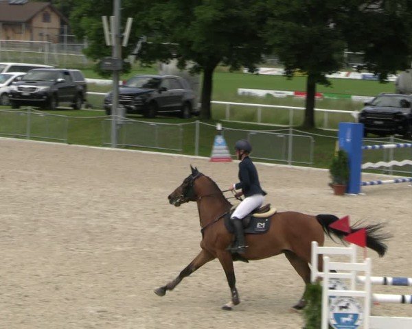 Reitturnier Fehraltorf 2025