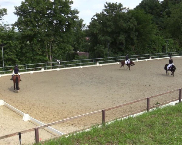 Reitturnier Iserlohn-Kalthof 2025