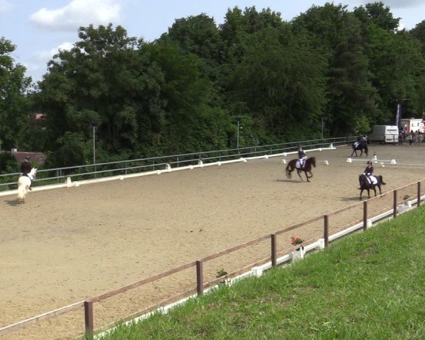 Reitturnier Iserlohn-Kalthof 2025