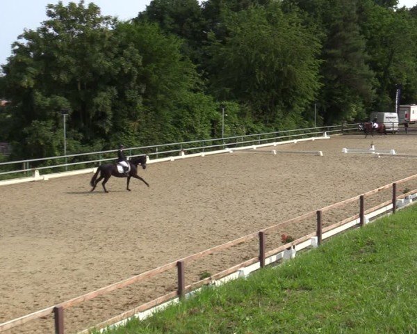 Reitturnier Iserlohn-Kalthof 2025
