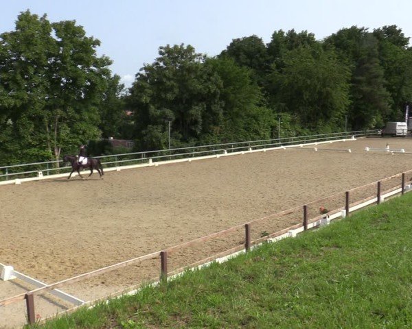Reitturnier Iserlohn-Kalthof 2025