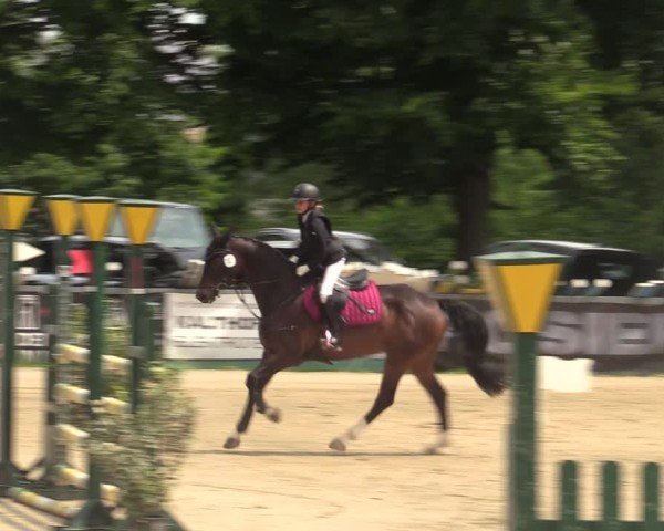 Reitturnier Iserlohn-Kalthof 2025