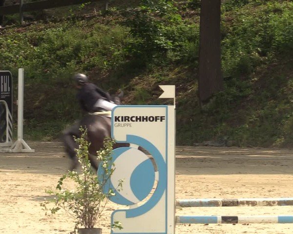 Reitturnier Iserlohn-Kalthof 2025