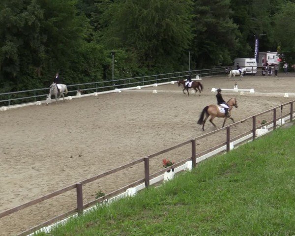 Reitturnier Iserlohn-Kalthof 2025