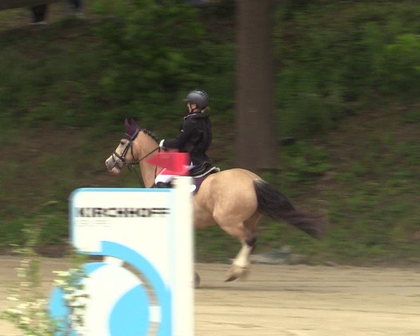 Reitturnier Iserlohn-Kalthof 2025