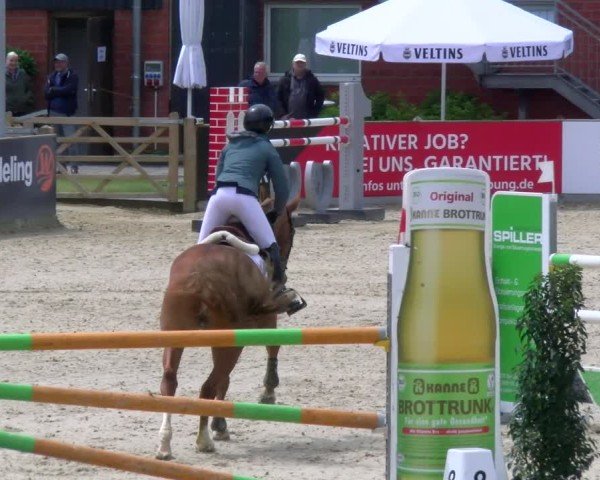 Reitturnier Borken 2025