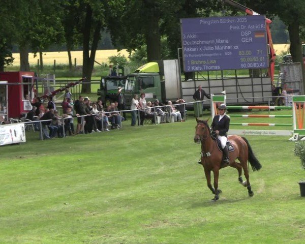 Reitturnier Blüthen 2025