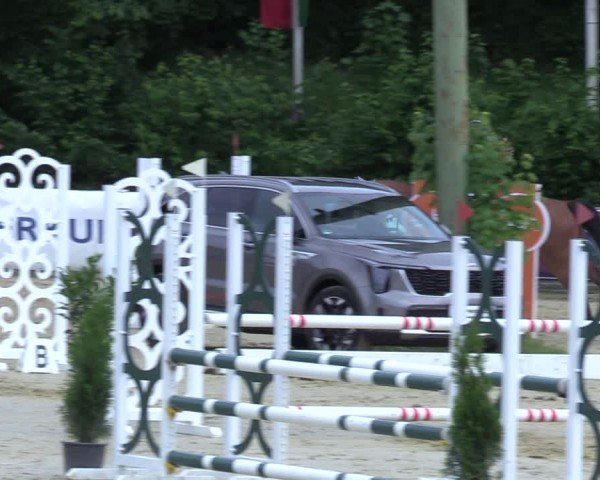 Reitturnier Siegen-Weidenau  2025