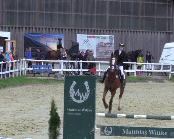 Reitturnier Siegen-Weidenau  2025