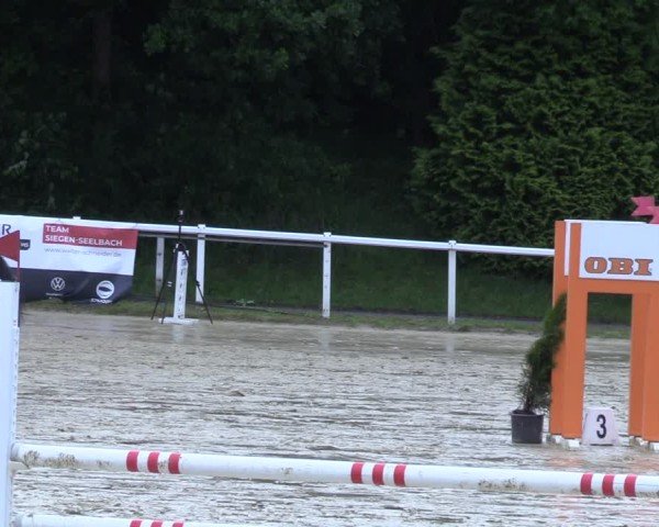 Reitturnier Siegen-Weidenau  2025