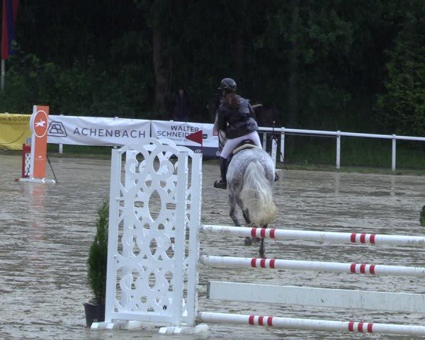Reitturnier Siegen-Weidenau  2025