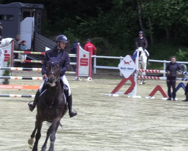 Reitturnier Siegen-Weidenau  2025