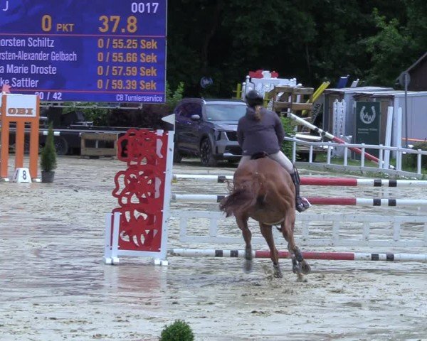 Reitturnier Siegen-Weidenau 2025