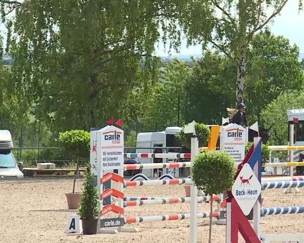 Reitturnier Landenhausen 2025