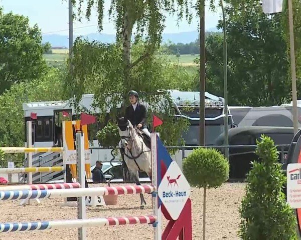 Reitturnier Landenhausen 2025