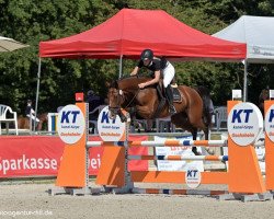 broodmare Cissi Royal (German Sport Horse, 2015, from Cellestial)