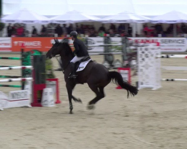 Reitturnier Borken 2025