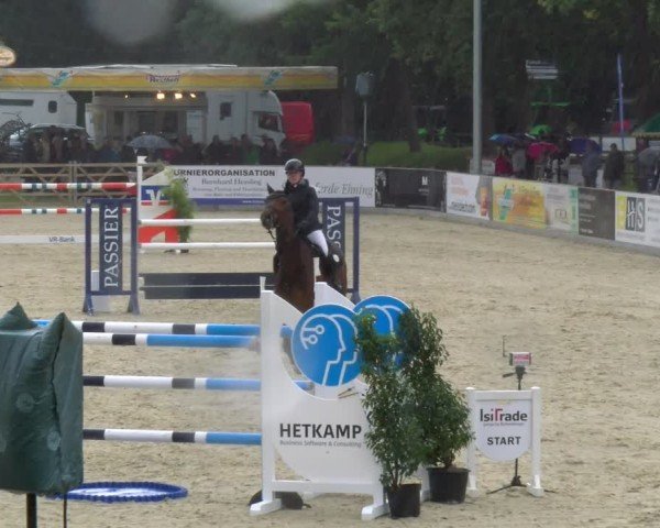Reitturnier Borken 2025