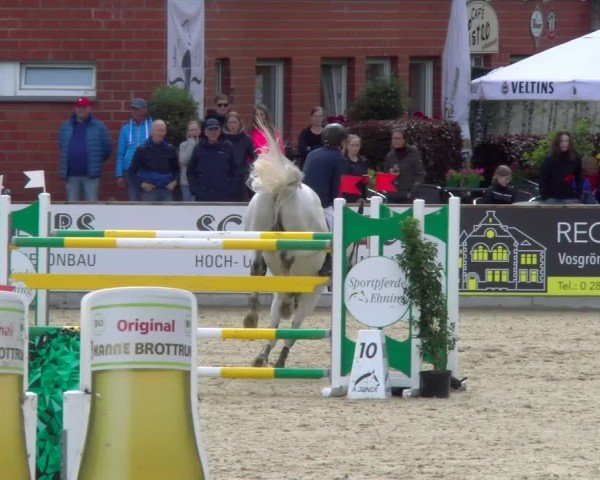 Reitturnier Borken 2025