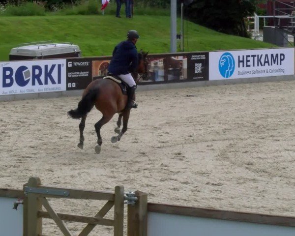 Reitturnier Borken 2025