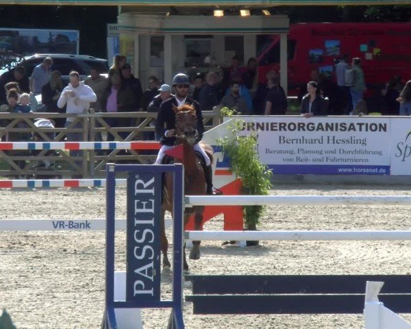 Reitturnier Borken 2025