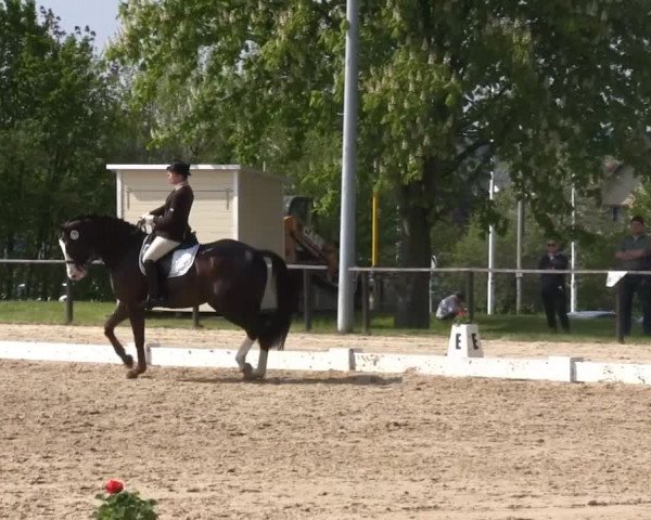 Spenge-Wallenbrück 2014
