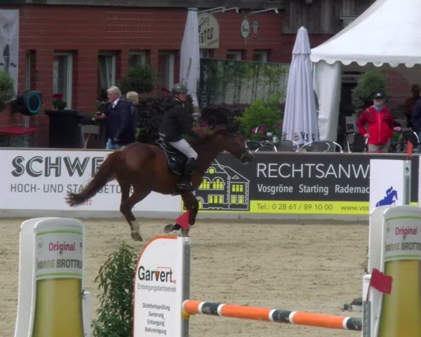 Reitturnier Borken 2025