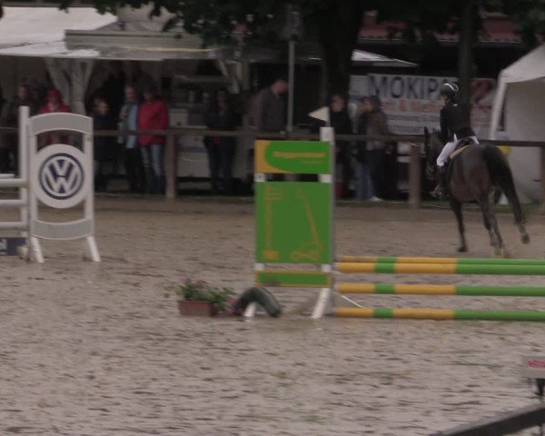 Reitturnier Everswinkel 2025