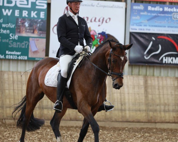 broodmare Donna Karan 18 (Oldenburg, 2012, from San Amour I)