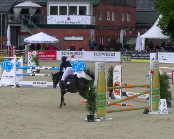 Reitturnier Borken 2025