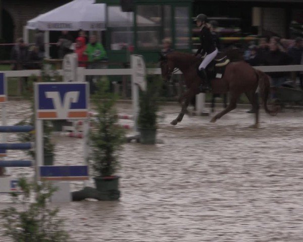 Reitturnier Everswinkel 2025