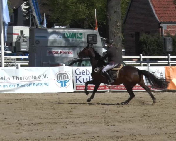 Lenklarer Reitertage 2014