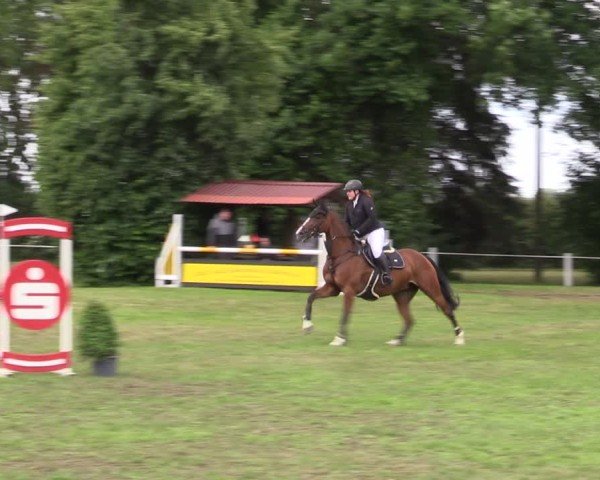 Reitturnier Wustrow 2025