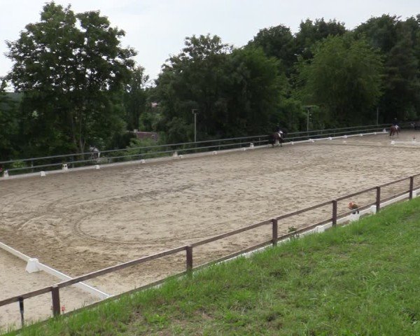 Reitturnier Iserlohn-Kalthof 2025