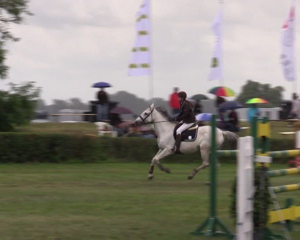 Reitturnier Wustrow 2025