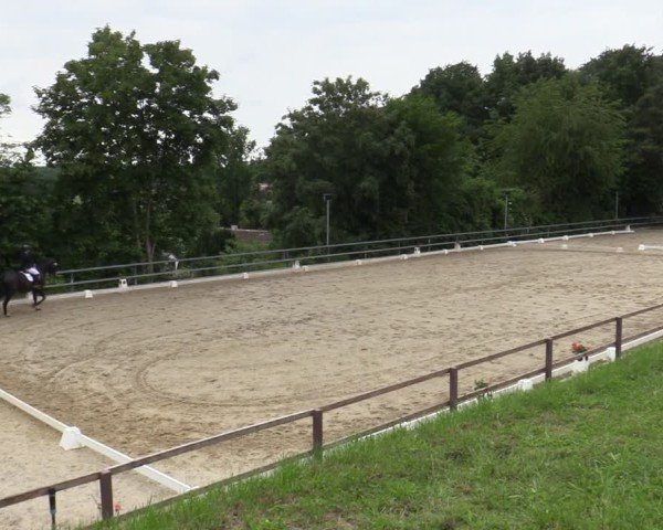 Reitturnier Iserlohn-Kalthof 2025