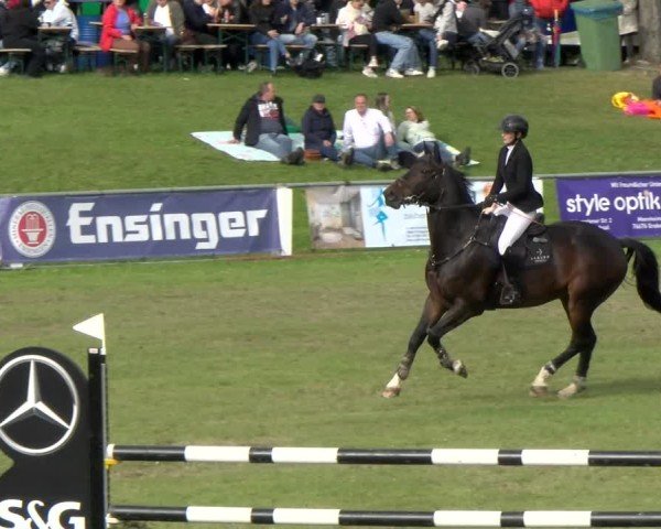 Reitturnier Forst 2025